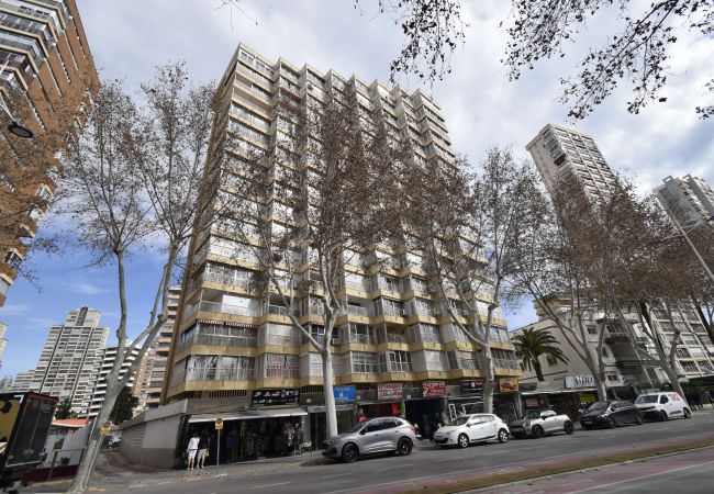 Estudio en Benidorm - CABALLOS 2D (ESTUDIO) Estudio en Benidorm - CABALLOS 2D (ESTUDIO)