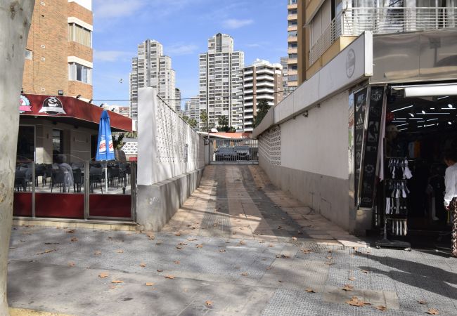 Estudio en Benidorm - CABALLOS 2D (ESTUDIO) Estudio en Benidorm - CABALLOS 2D (ESTUDIO)