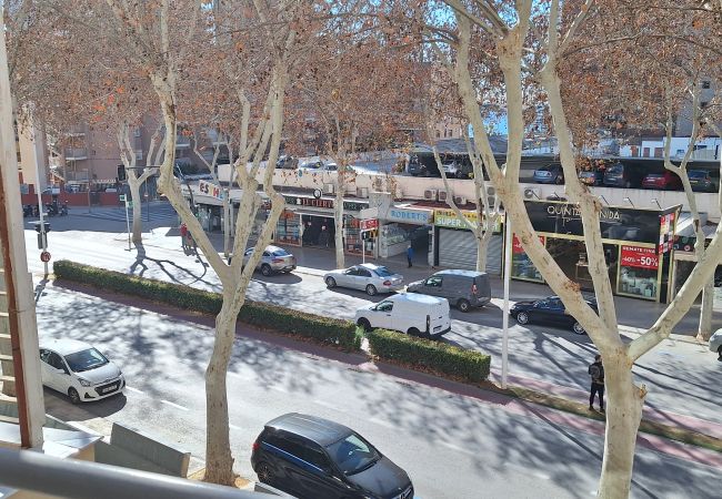 Estudio en Benidorm - CABALLOS 2D (ESTUDIO) Estudio en Benidorm - CABALLOS 2D (ESTUDIO)
