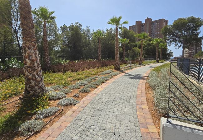 Apartamento en Benidorm - BENIDORM BEACH (2 DORMITORIOS) - 4 personas Apartamento en Benidorm - BENIDORM BEACH (2 DORMITORIOS) - 4 personas
