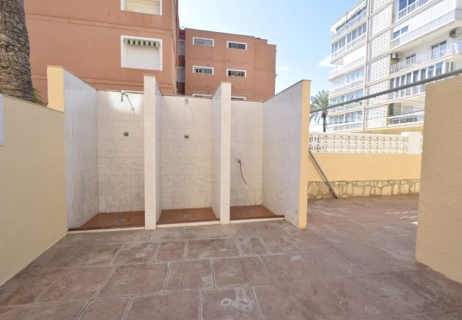 Apartamento en Benidorm - PAX (1 DORMITORIO) Apartamento en Benidorm - PAX (1 DORMITORIO)