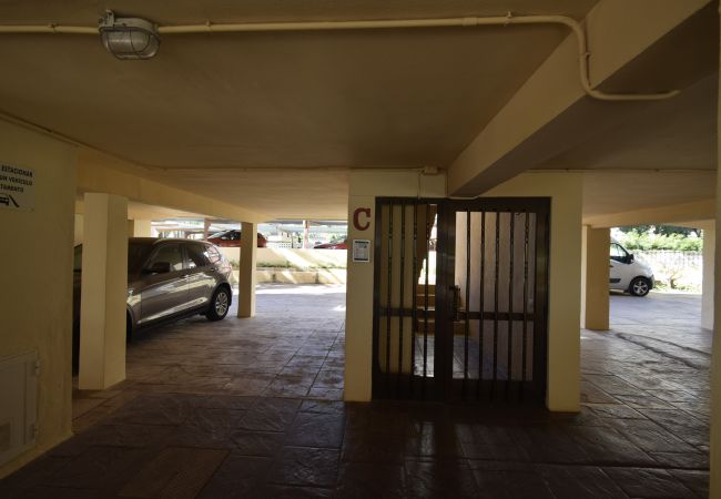 Apartamento en Benidorm - PAX (1 DORMITORIO) Apartamento en Benidorm - PAX (1 DORMITORIO)