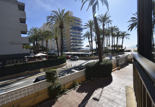 Apartamento en Benidorm - PAX (1 DORMITORIO) Apartamento en Benidorm - PAX (1 DORMITORIO)