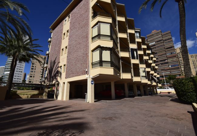 Apartamento en Benidorm - PAX (1 DORMITORIO) Apartamento en Benidorm - PAX (1 DORMITORIO)