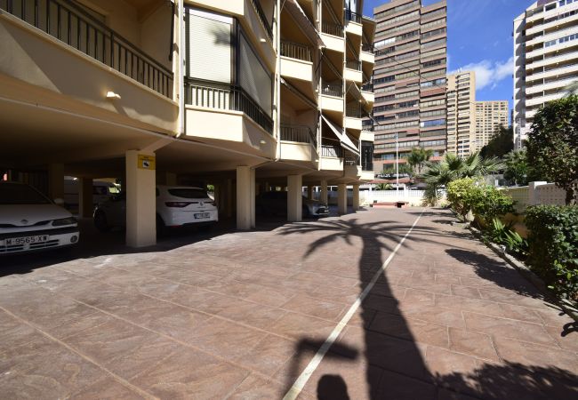 Apartamento en Benidorm - PAX (1 DORMITORIO) Apartamento en Benidorm - PAX (1 DORMITORIO)
