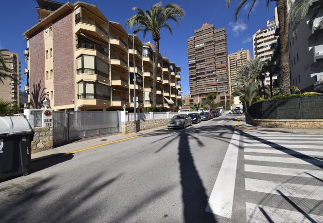 Apartamento en Benidorm - PAX (1 DORMITORIO) Apartamento en Benidorm - PAX (1 DORMITORIO)