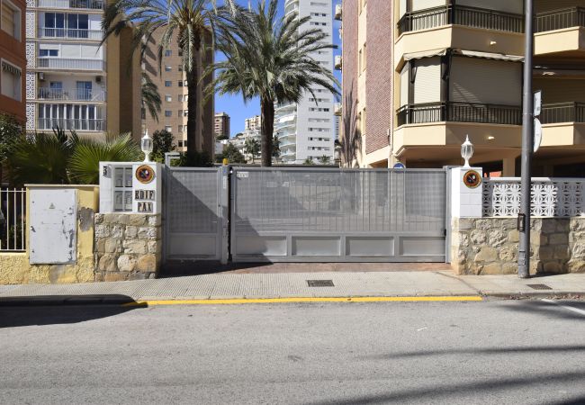 Apartamento en Benidorm - PAX (1 DORMITORIO) Apartamento en Benidorm - PAX (1 DORMITORIO)