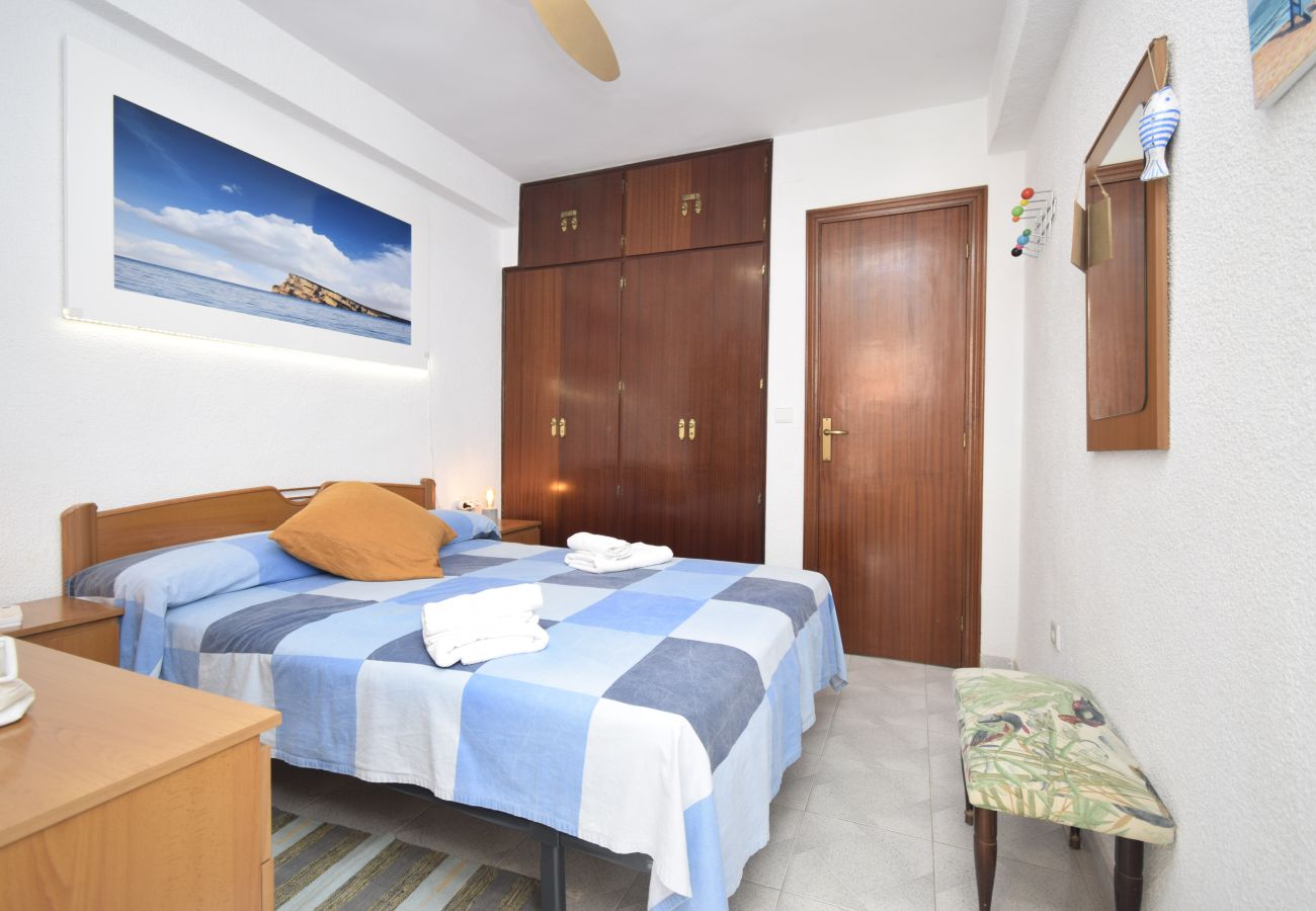 Apartamento en Benidorm - PAX (1 DORMITORIO)