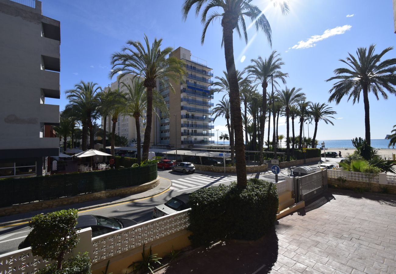 Apartamento en Benidorm - PAX (1 DORMITORIO)