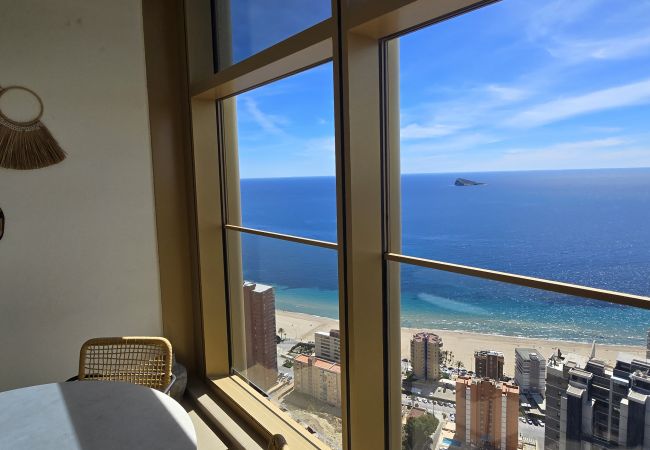 Apartamento en Benidorm - INTEMPO (2 DORMITORIOS) Apartamento en Benidorm - INTEMPO (2 DORMITORIOS)