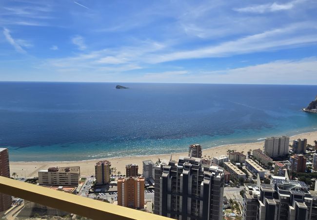 Apartamento en Benidorm - INTEMPO (2 DORMITORIOS) Apartamento en Benidorm - INTEMPO (2 DORMITORIOS)