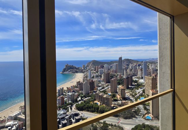 Apartamento en Benidorm - INTEMPO (2 DORMITORIOS) Apartamento en Benidorm - INTEMPO (2 DORMITORIOS)