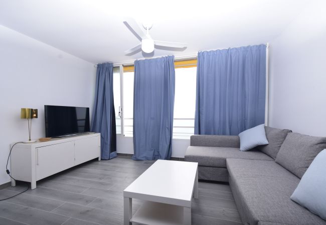 Estudio en Benidorm - COBLANCA 1 (ESTUDIO) Estudio en Benidorm - COBLANCA 1 (ESTUDIO)