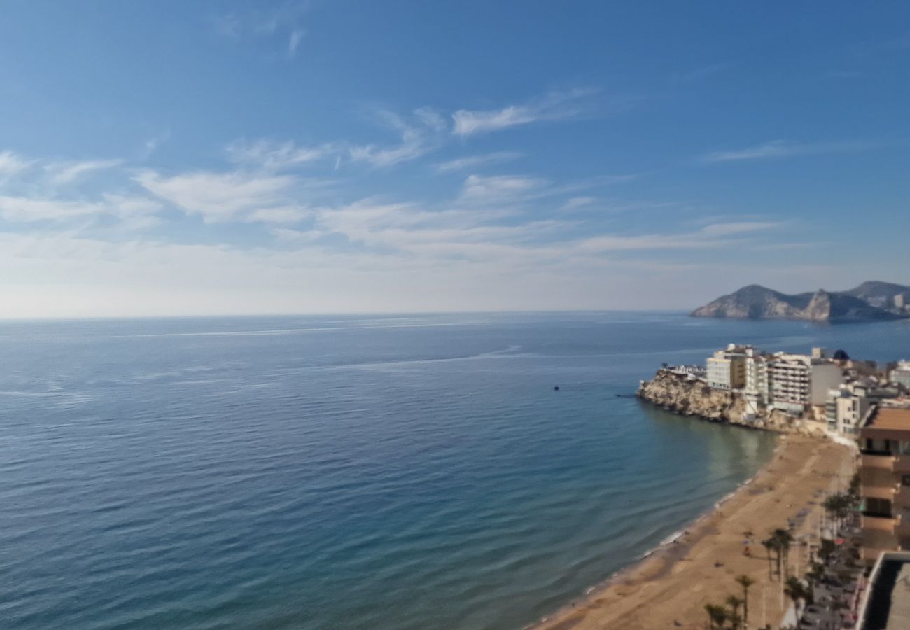 Estudio en Benidorm - COBLANCA 1 (ESTUDIO)