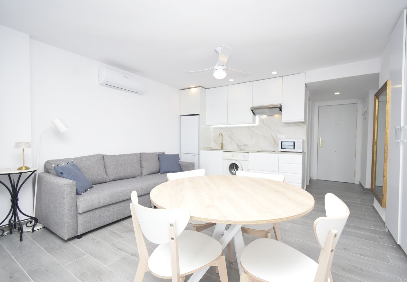 Estudio en Benidorm - COBLANCA 1 (ESTUDIO)