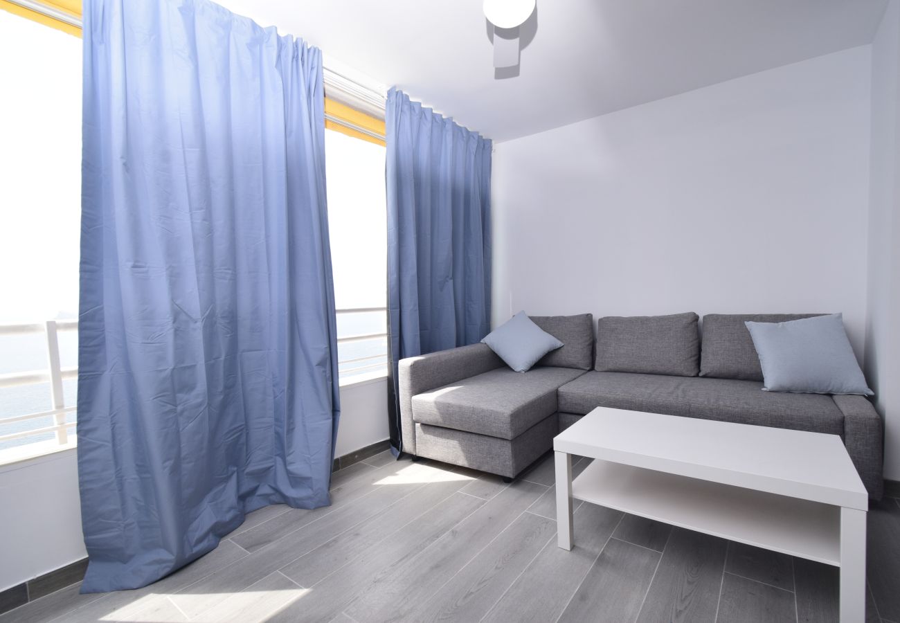 Estudio en Benidorm - COBLANCA 1 (ESTUDIO)