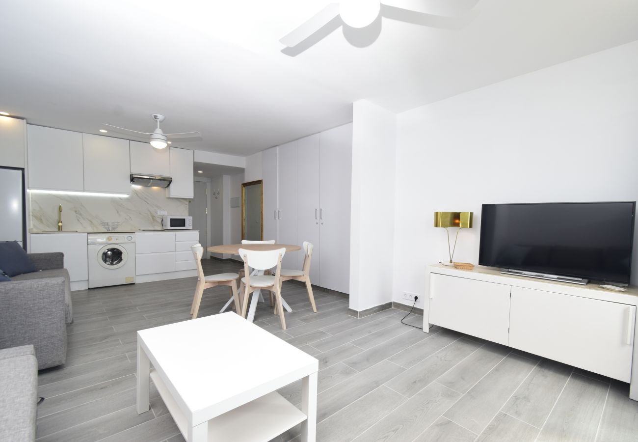 Estudio en Benidorm - COBLANCA 1 (ESTUDIO)