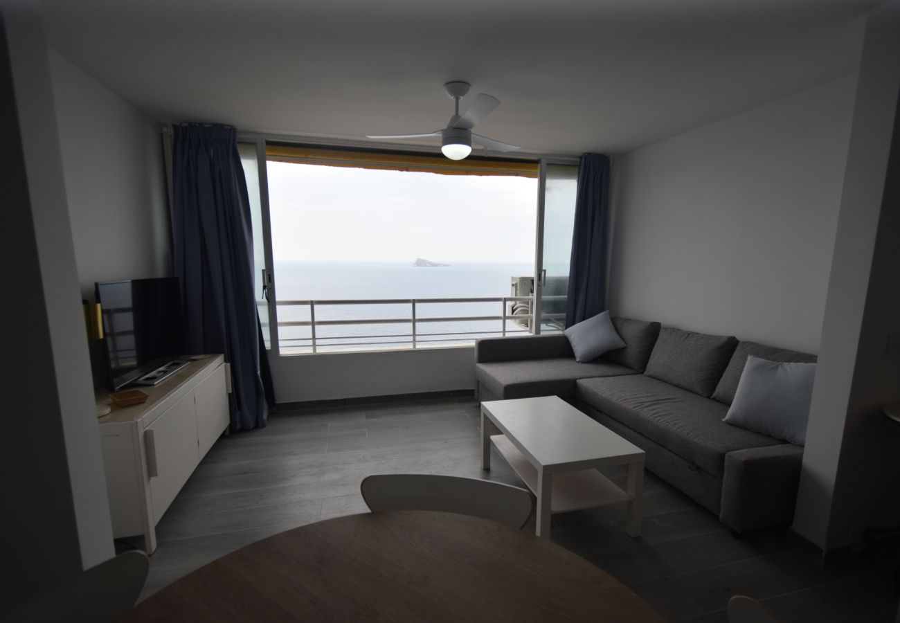 Estudio en Benidorm - COBLANCA 1 (ESTUDIO)