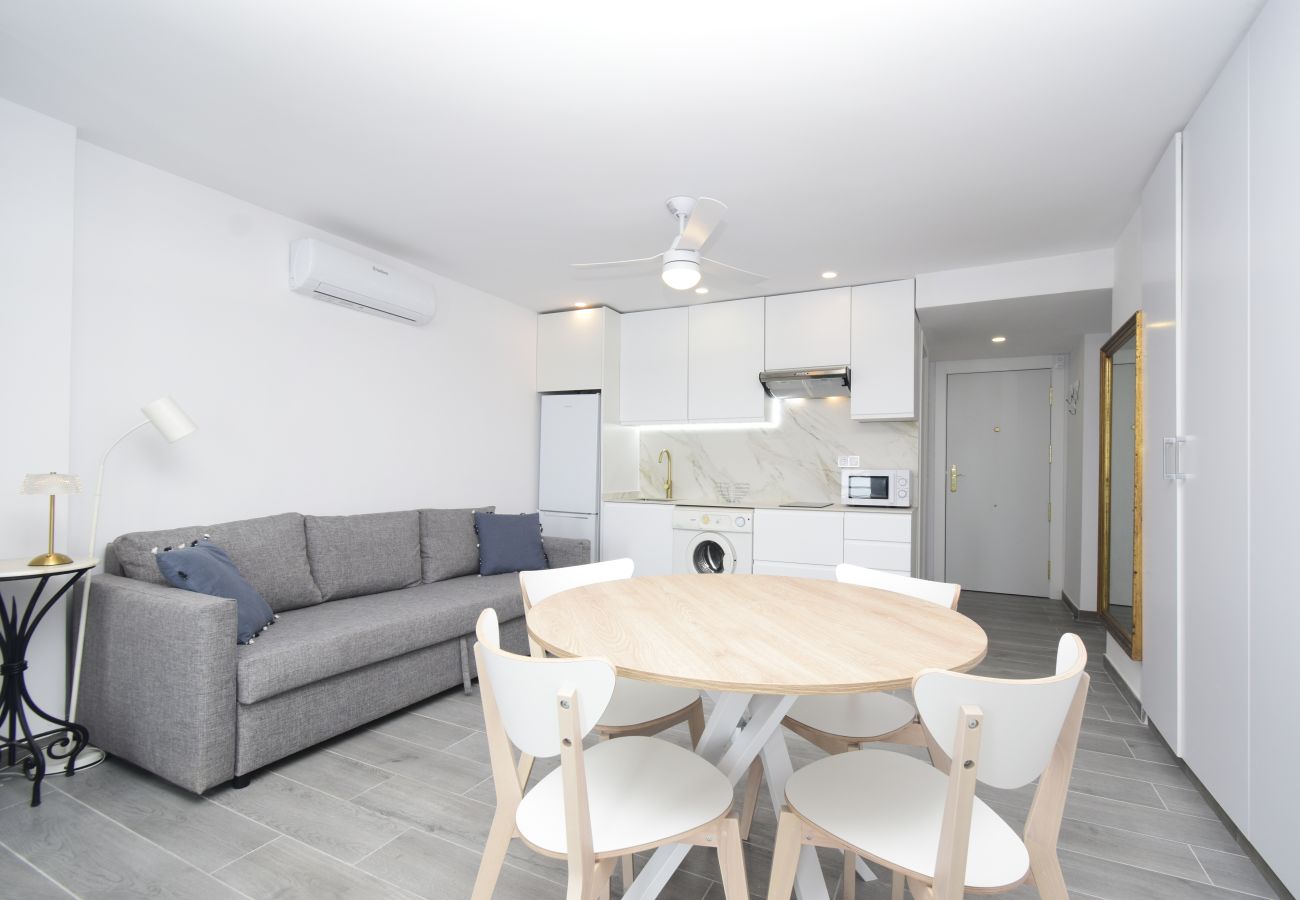 Estudio en Benidorm - COBLANCA 1 (ESTUDIO)