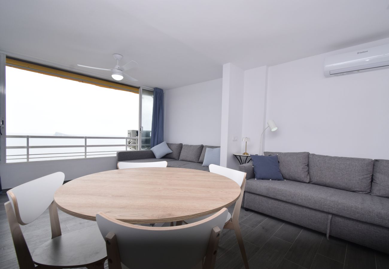 Estudio en Benidorm - COBLANCA 1 (ESTUDIO)