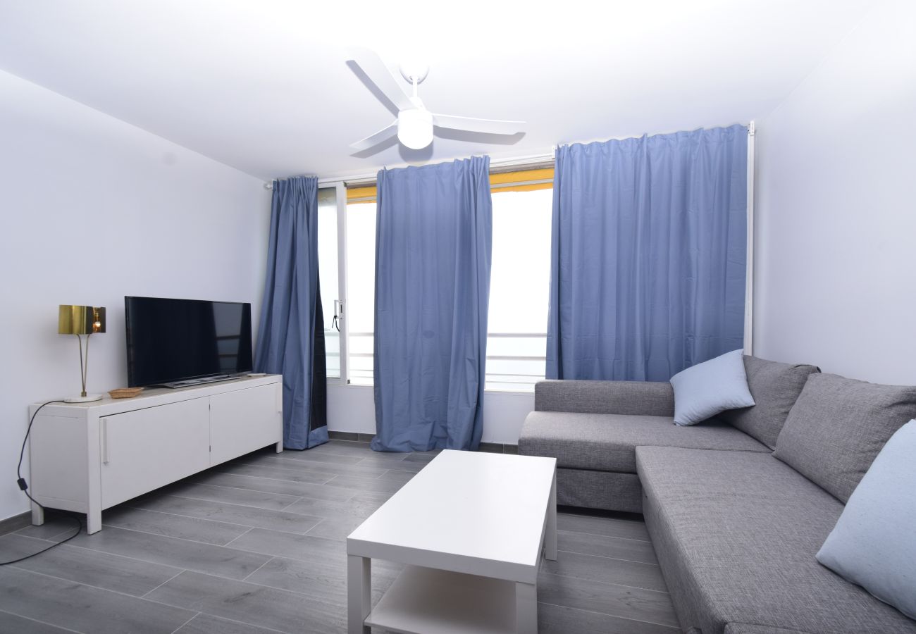 Estudio en Benidorm - COBLANCA 1 (ESTUDIO)