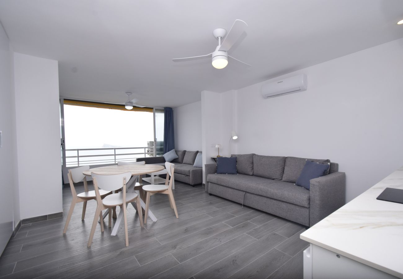 Estudio en Benidorm - COBLANCA 1 (ESTUDIO)