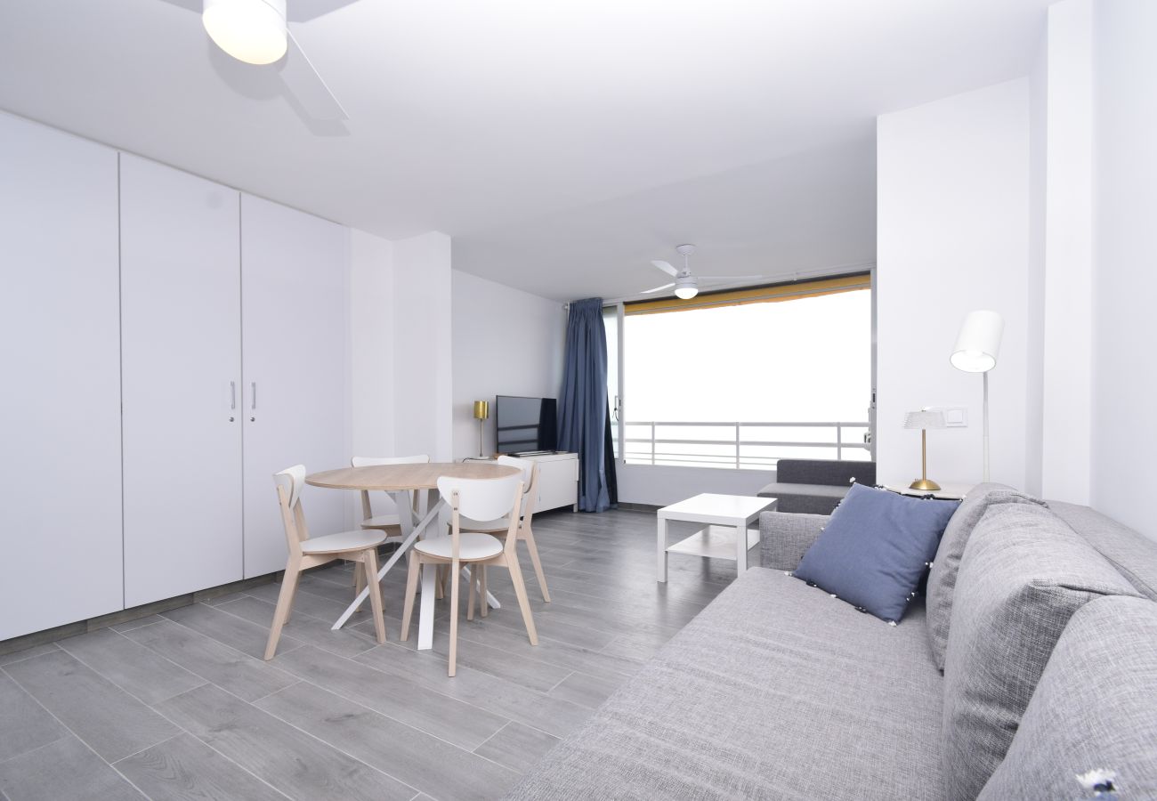 Estudio en Benidorm - COBLANCA 1 (ESTUDIO)