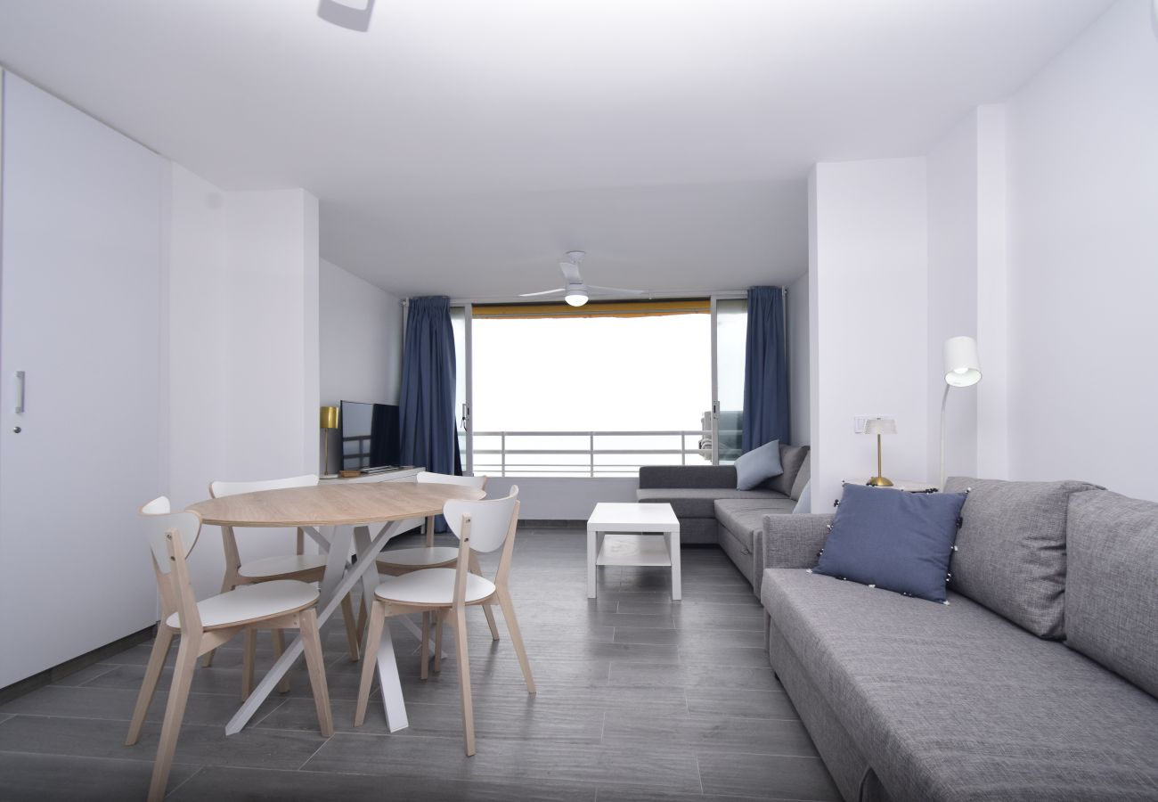 Estudio en Benidorm - COBLANCA 1 (ESTUDIO)