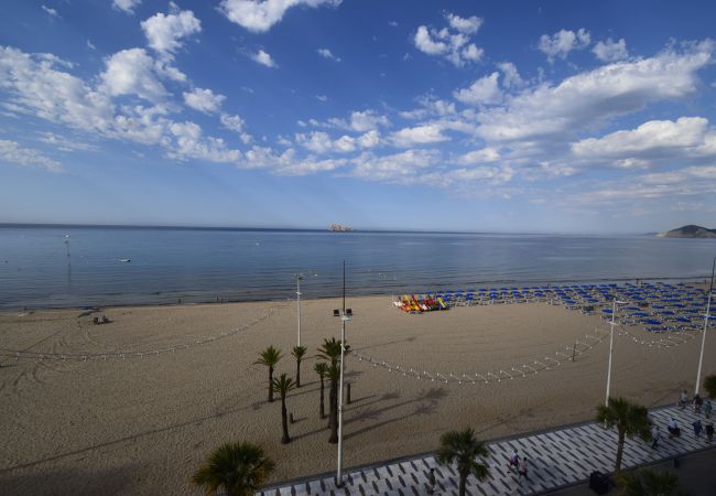 Apartamento en Benidorm - CACHIRULO (2 DORMITORIOS) Apartamento en Benidorm - CACHIRULO (2 DORMITORIOS)