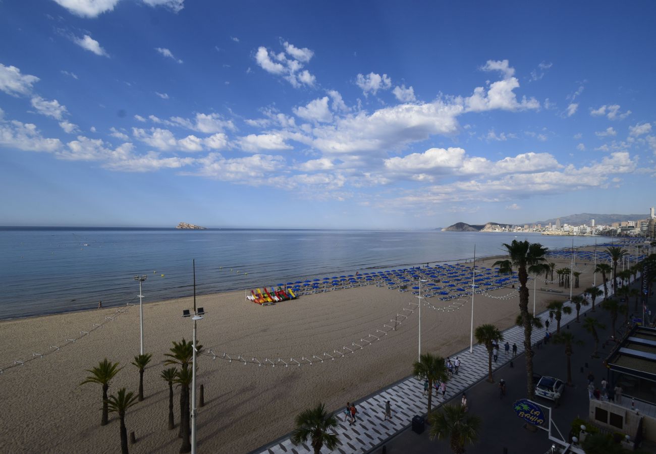 Apartamento en Benidorm - CACHIRULO (2 DORMITORIOS)