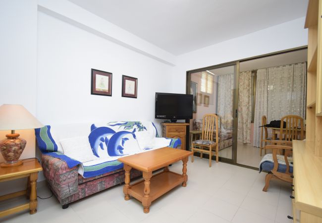 Apartamento en Benidorm - GEMELOS 12 19B T2 (1 DORMITORIO) Apartamento en Benidorm - GEMELOS 12 19B T2 (1 DORMITORIO)