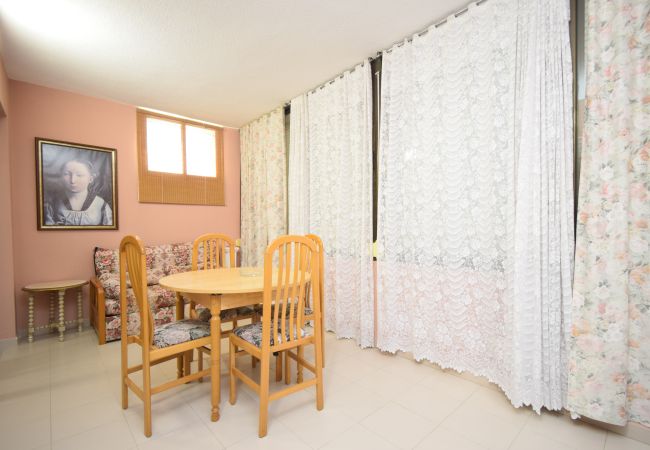 Apartamento en Benidorm - GEMELOS 12 19B T2 (1 DORMITORIO) Apartamento en Benidorm - GEMELOS 12 19B T2 (1 DORMITORIO)