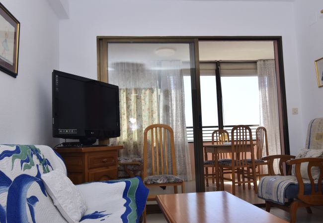 Apartamento en Benidorm - GEMELOS 12 19B T2 (1 DORMITORIO) Apartamento en Benidorm - GEMELOS 12 19B T2 (1 DORMITORIO)