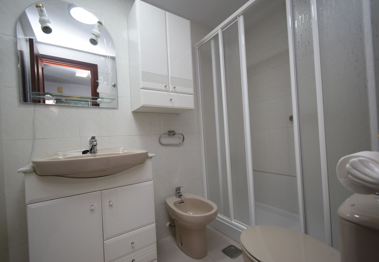 Apartamento en Benidorm - GEMELOS 12 19B T2 (1 DORMITORIO)
