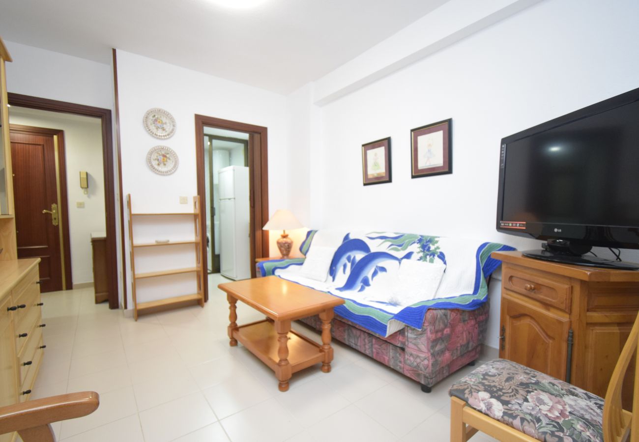 Apartamento en Benidorm - GEMELOS 12 19B T2 (1 DORMITORIO)