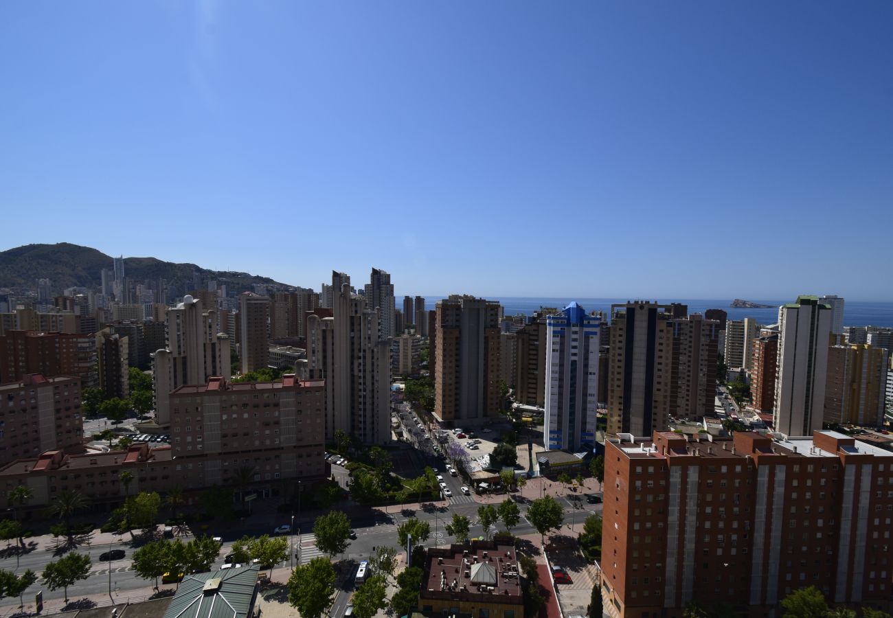 Apartamento en Benidorm - GEMELOS 12 19B T2 (1 DORMITORIO)