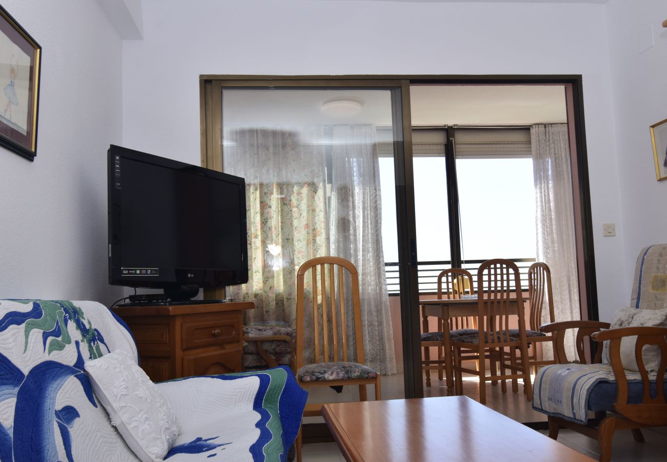 Apartamento en Benidorm - GEMELOS 12 19B T2 (1 DORMITORIO)