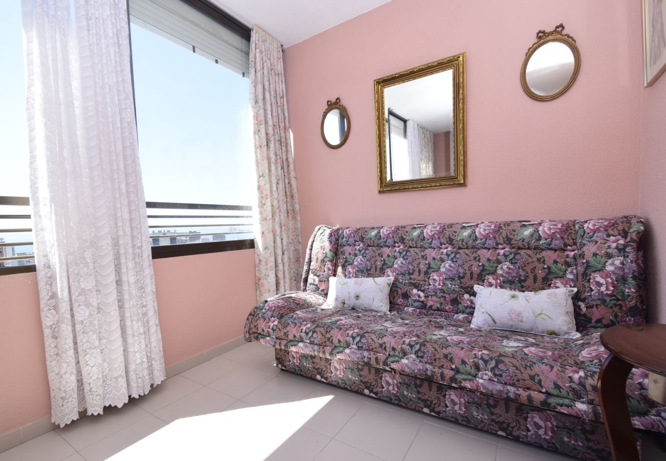 Apartamento en Benidorm - GEMELOS 12 19B T2 (1 DORMITORIO)