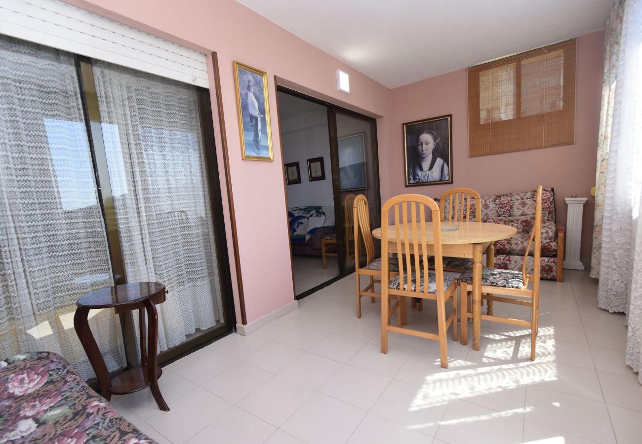 Apartamento en Benidorm - GEMELOS 12 19B T2 (1 DORMITORIO)