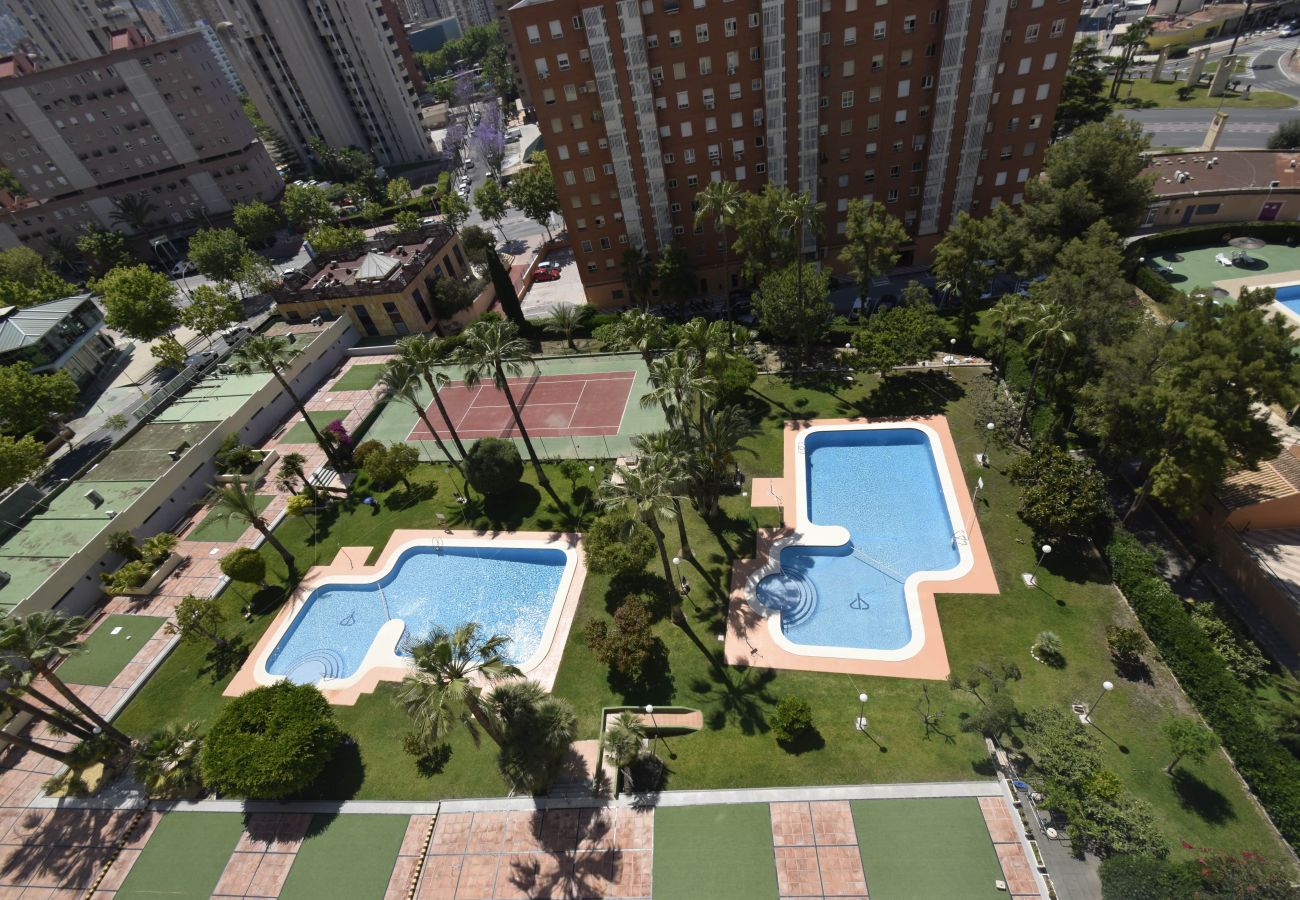 Apartamento en Benidorm - GEMELOS 12 19B T2 (1 DORMITORIO)