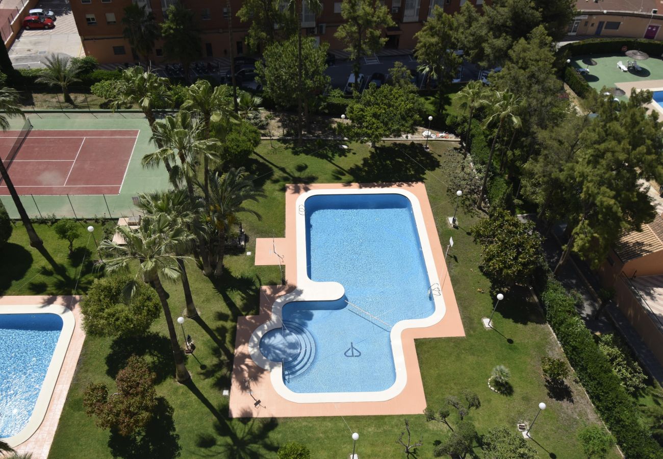 Apartamento en Benidorm - GEMELOS 12 19B T2 (1 DORMITORIO)