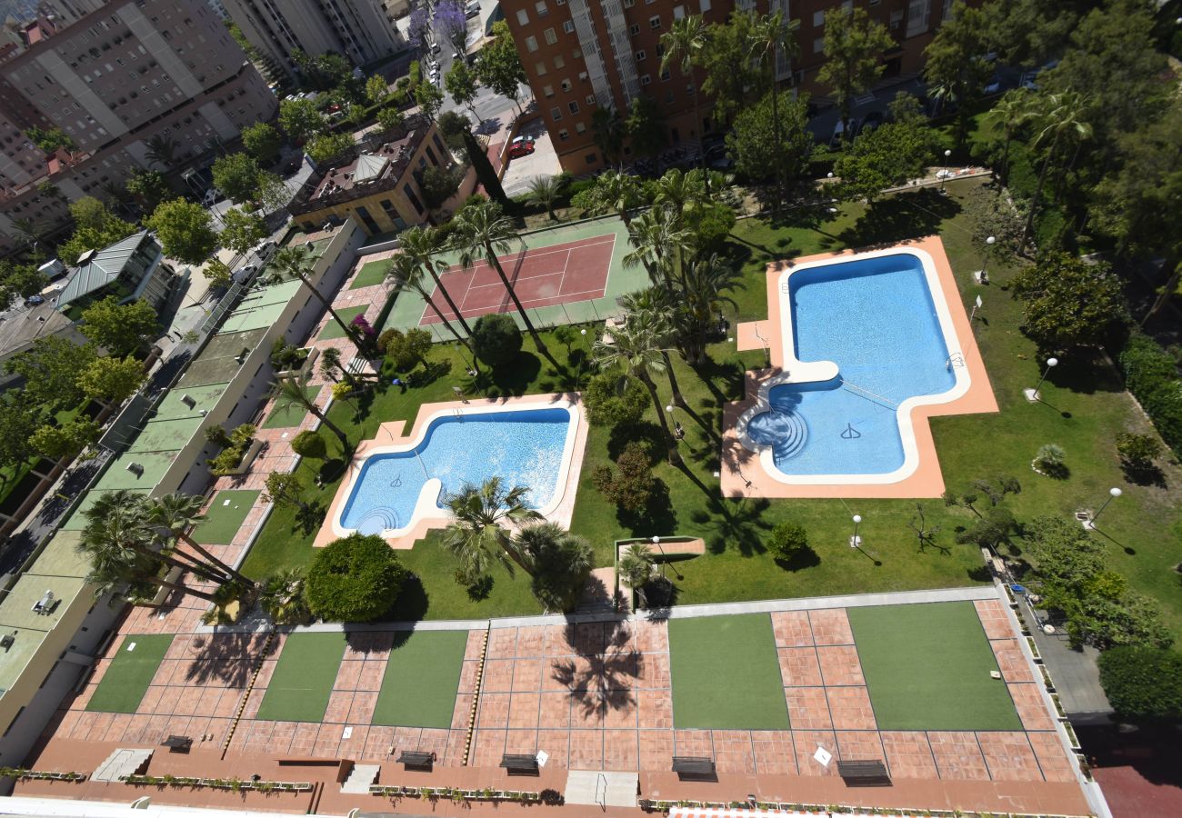 Apartamento en Benidorm - GEMELOS 12 19B T2 (1 DORMITORIO)