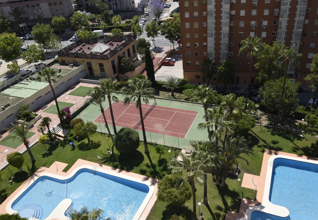 Apartamento en Benidorm - GEMELOS 12 19B T2 (1 DORMITORIO)