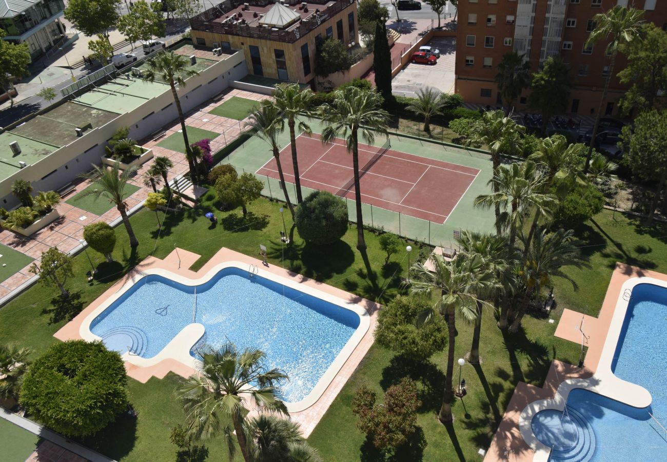 Apartamento en Benidorm - GEMELOS 12 9D T1 (2 DORMITORIOS)