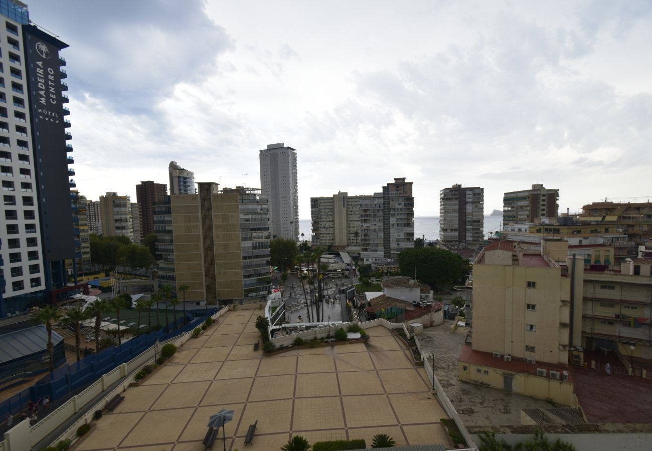 Apartamento en Benidorm - FLECHA (3 DORMITORIOS)