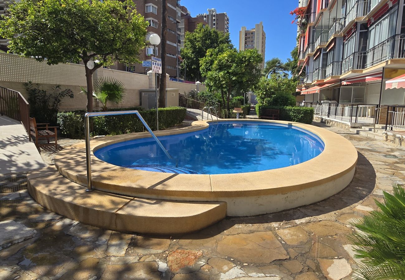 Apartamento en Benidorm - ALLONAYA (2 DORMITORIOS)