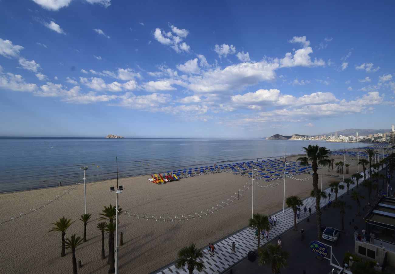 Apartamento en Benidorm - CACHIRULO 3A (2 DORMITORIOS)