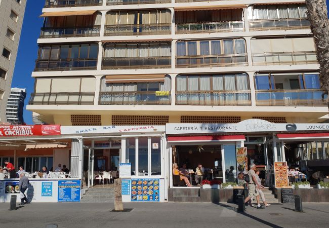 Apartamento en Benidorm - CACHIRULO 3B (1  DORMITORIO) Apartamento en Benidorm - CACHIRULO 3B (1  DORMITORIO)