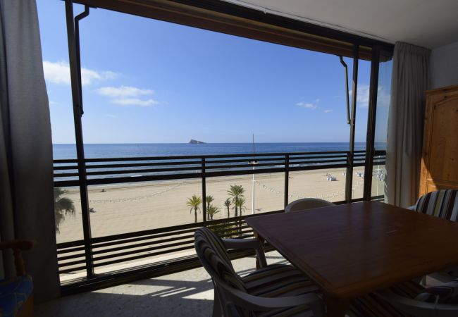 Apartamento en Benidorm - CACHIRULO 3B (1  DORMITORIO) Apartamento en Benidorm - CACHIRULO 3B (1  DORMITORIO)