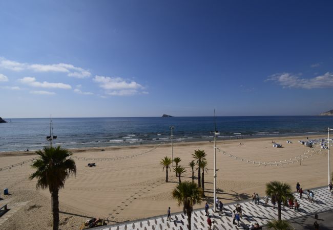 Apartamento en Benidorm - CACHIRULO 3B (1  DORMITORIO) Apartamento en Benidorm - CACHIRULO 3B (1  DORMITORIO)